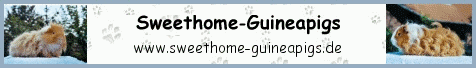http://www.sweethome-guineapigs.de/frame.html